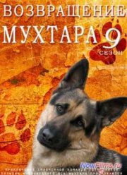 Возвращение Мухтара (2003-2017) 1-11 Сезон
