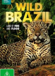 BBC. Дикая Бразилия (2014)
