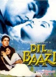 Сводные братья (1993)