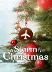Рождественская буря (2022)