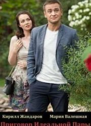 Приговор идеальной пары (2015)