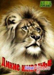 Animal Planet. Дикие животные (2014)
