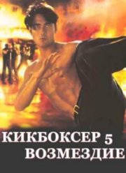 Кикбоксер 5: Возмездие (1995)