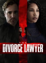 Адвокат по семейным делам (2025)