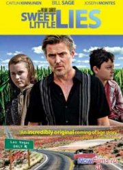 Маленькая ложь (2011)