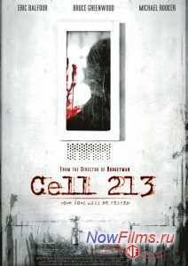  213 (2010)