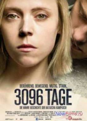 3096  (2013)