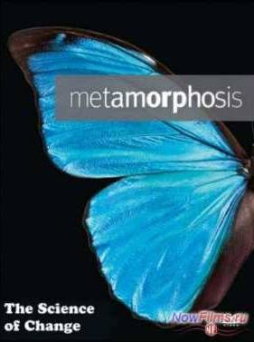 BBC: ��������� �������������� - ���������� (2013)