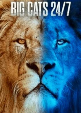 ������� ����� ���� � ����� (1-2 �����)