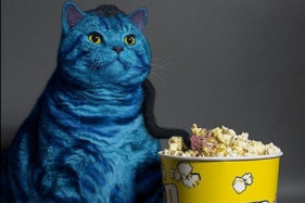 ������ ������� �������, ��� ����� ������� ����� ���������