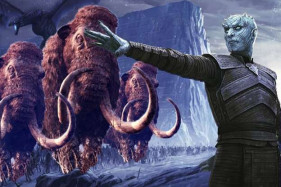 ������ �. �. ������ ��������� � �������� ����� ���������