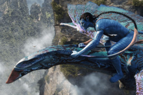 ������ ������� ���������, ������ �� ��� �������� �� �������� ����� �����